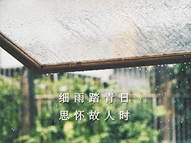 江门写字楼 | 人间四月天，春风化雨思念绵长，
