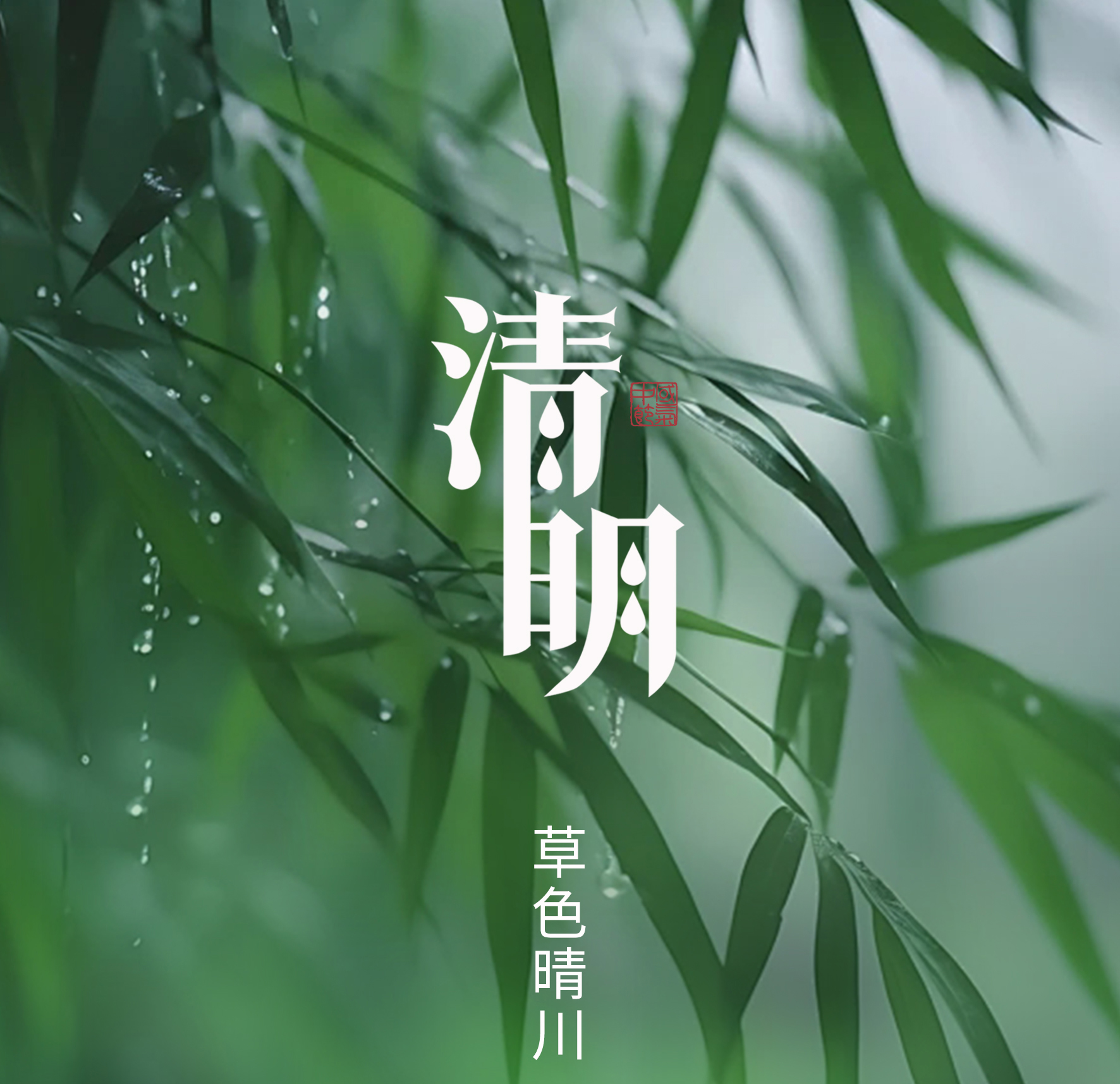 江门营商商业|人间芳菲 清明雨上